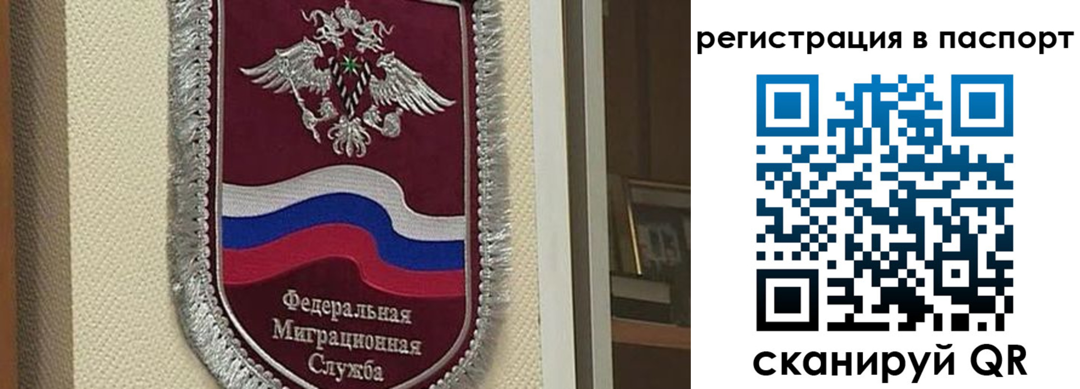 прописка законно в Липецке
